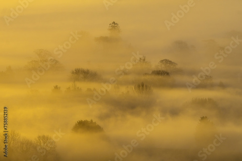 Capturing the Mystical Sunrise at the top Glastonbury Tor: A Stunning Blend of Mist, Sunlight, and Natural Beauty