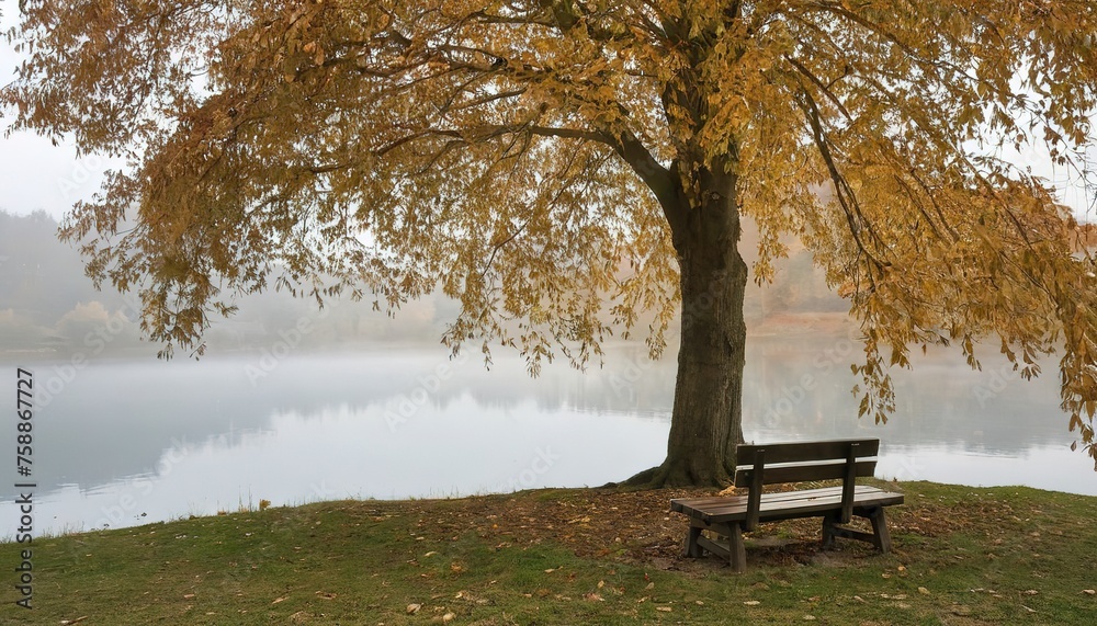 A wooden bench under an autumn tree right on the shore of a misty lake