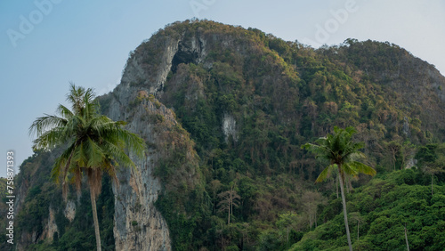 Palm trees on the background of a limestone cliff covered with jungle