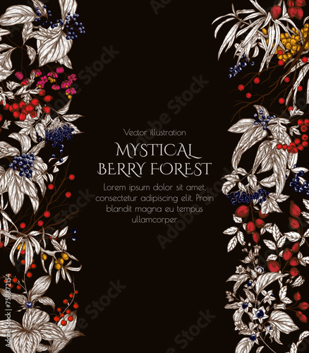 Vector frame of forest berries. Cornus sanguinea, sea buckthorn, rose hips, ligustrum, hawthorn, elderberry, paris quadrifolia, lily of the valley berries, euonymus, belladonna