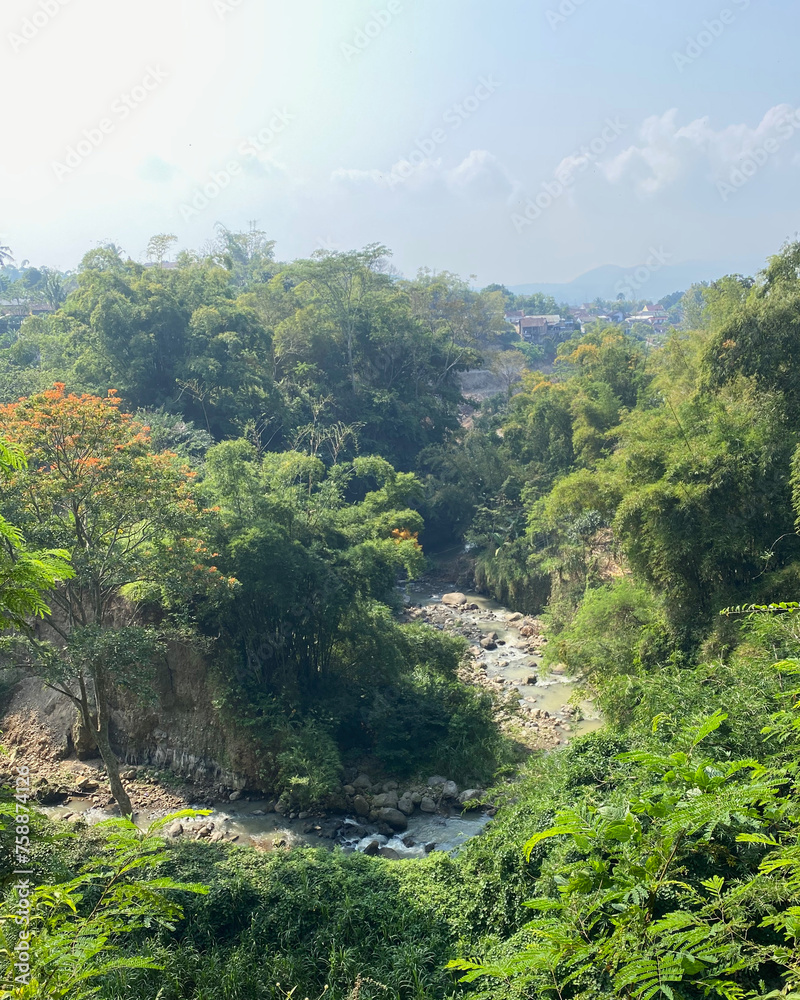 Obraz premium Mountain River in the Forest