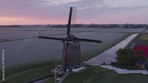 Aerial view of colorful dutch tulip fields near traditional windmill at sunrise, Obdam, Netherlands photo