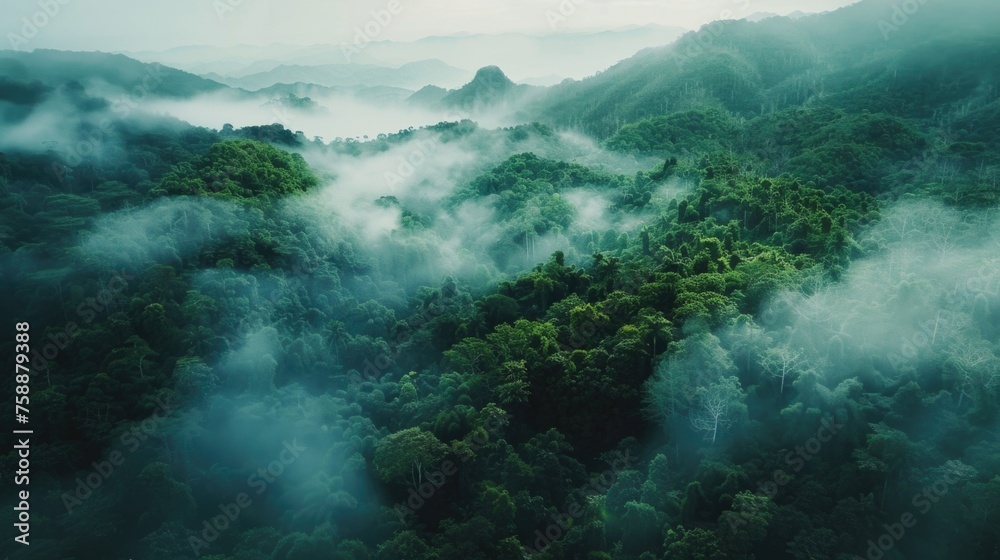 A breathtaking aerial view of a lush green forest. Perfect for nature backgrounds