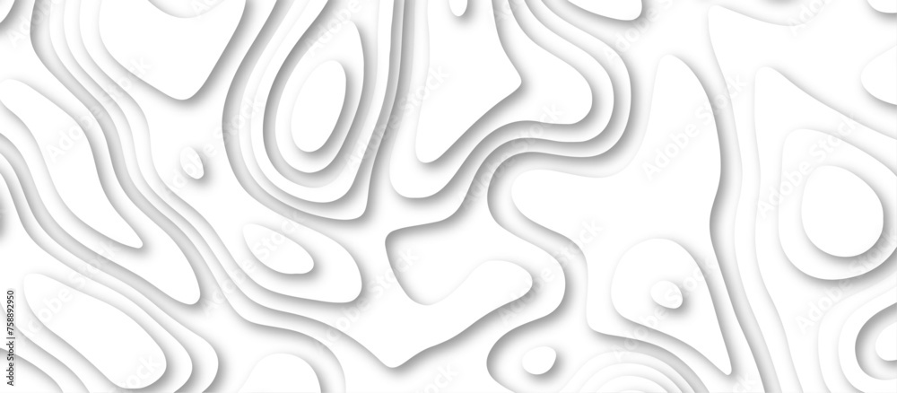 Abstract geometric layered curve line white background. 3d white papercut topography relief. Cover layout template. paper cut topography soft background banner texture. light liquid wave illustration. Abstract geometric layered curve line white background. 3d white papercut topography relief. Cover layout template. paper cut topography soft background banner texture. light liquid wave illustration.