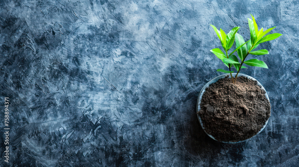 Naklejka premium A growing plant rooted in soil contained within a transparent sphere, placed on a slate backdrop, has ample space symbolizing potential and new beginnings