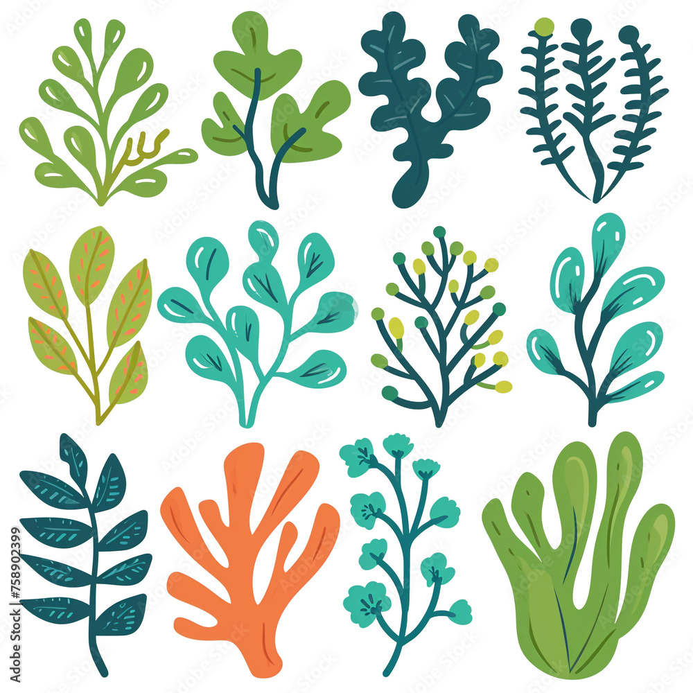 coral and seaweed clipart which is very cute and simple
