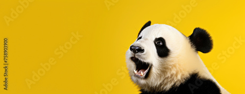 A black and white panda bear is depicted with its mouth open, showcasing its unique markings, on a yellow background.