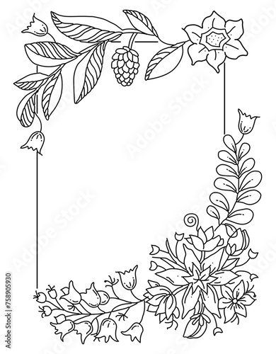 Ornate floral frame, border with space for text. Hand drawn coloring page for kids and adults. Beautiful drawing with patterns and small details. Coloring book pictures. Vector, letter format 8.5 x 11