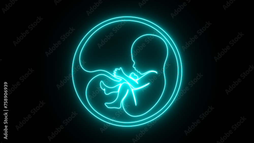 Glowing baby and a placenta. Human baby in the womb and Pregnancy fetal development. Glowing baby and a placenta. Human baby in the womb and Pregnancy fetal development.