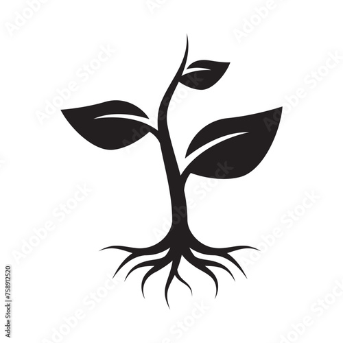 Sprout with roots black silhouette