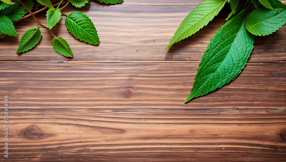 Simple background for your website and blog about food and healthy lifestyle,leaf, plant, nature, leaves, isolated, herb, tree, white, branch, food, fresh, spring, closeup, mint, Simple background for your website and blog about food and healthy lifestyle,leaf, plant, nature, leaves, isolated, herb, tree, white, branch, food, fresh, spring, closeup, mint,