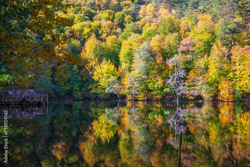 The idea of being in nature and the waterfall flowing through the trees decorated with autumn colors the rocks calmness peace and happiness