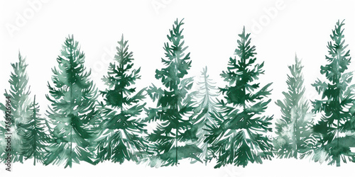 Monochrome green Illustration with high pines in fir trees forest on white background. © Hunman