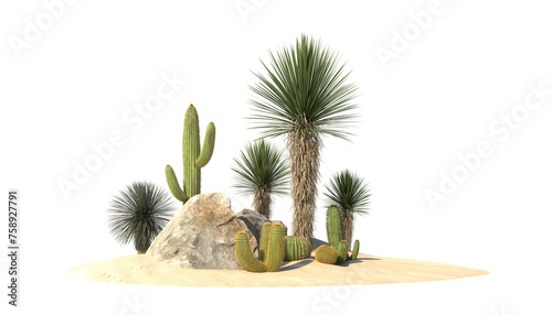 Desert garden on transparent background, PNG file, 3d render