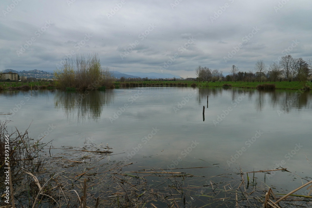 Small artificial lake in the countryside of the Po Valley, Bergamo, Lombardy

