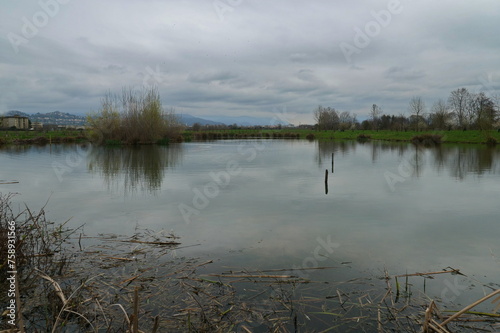 Small artificial lake in the countryside of the Po Valley, Bergamo, Lombardy