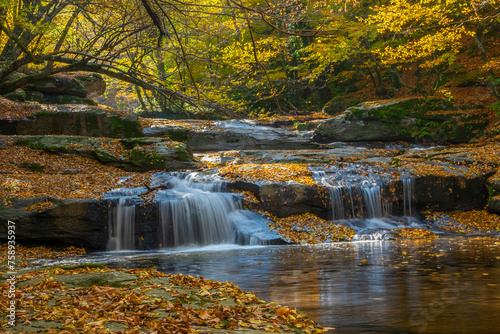 Fototapeta Naklejka Na Ścianę i Meble -  The idea of being in nature and the waterfall flowing through the trees decorated with autumn colors the rocks calmness peace and happiness
