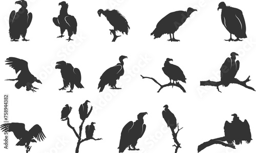 Vulture silhouette, Sitting vulture silhouette, Vulture svg, Clipart vulture silhouette, Vulture Vulture vector illustration. photo