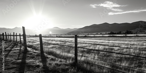 Black and white photo of a fence in a field  suitable for various design projects