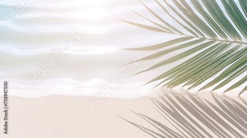 Palm leaf shadow on sandy beach, ideal for tropical vacation concept