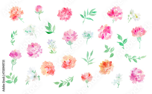 Fototapeta Naklejka Na Ścianę i Meble -  Watercolor illustration set of carnations
