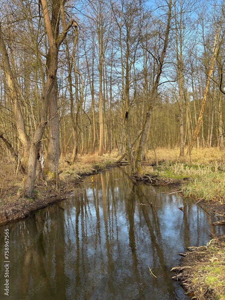 Obraz premium biesenthal, brandenburg