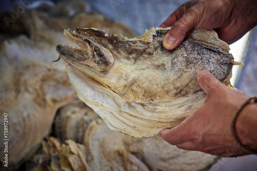 Bacalhau, Kabeljau photo