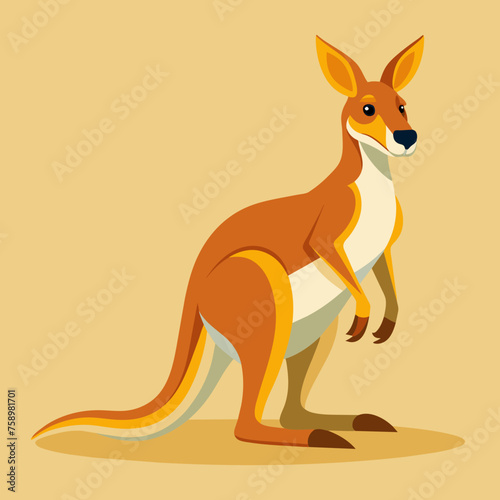 kangaroo, wallaby, wallaroo, mascot, pet, cartoon, pretty, cute, draw, art, wildlife, character, vector, illustration