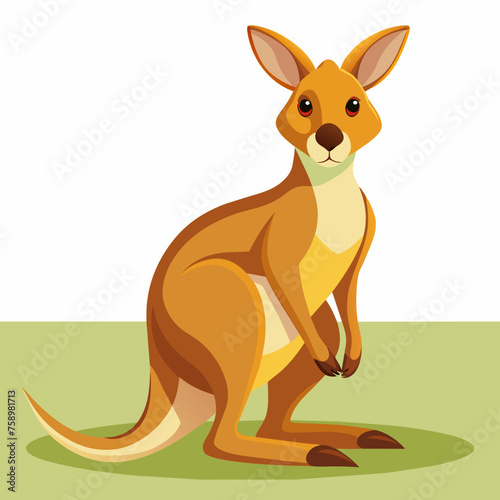 kangaroo, wallaby, wallaroo, mascot, pet, cartoon, pretty, cute, draw, art, wildlife, character, vector, illustration
