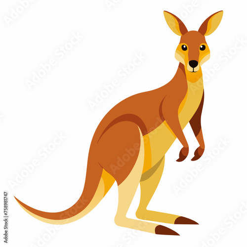 kangaroo, wallaby, wallaroo, mascot, pet, cartoon, pretty, cute, draw, art, wildlife, character, vector, illustration