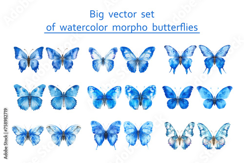 set of blue morpho butterflies. watercolor vector illustration