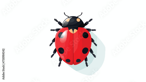 Ladybug isolated vector . Element for design. Flat © Vector