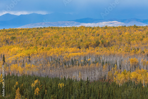 Mountain landscape in autumn colors, Yukon territory Canada 