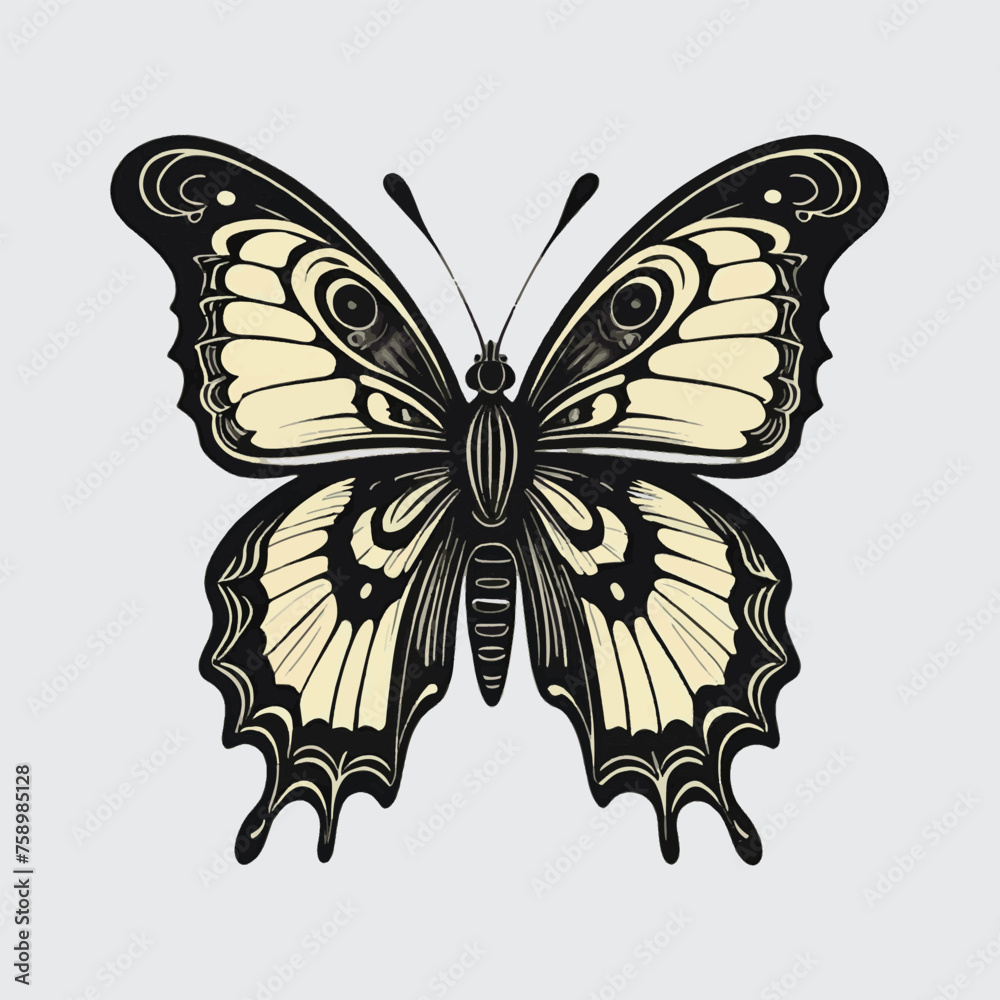 clipart beauty butterfly vector isolated clipart beauty butterfly vector isolated