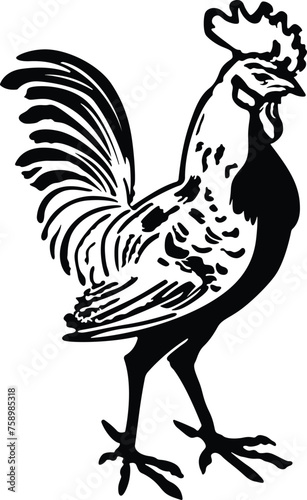 Bold graphic looking rooster illustration.