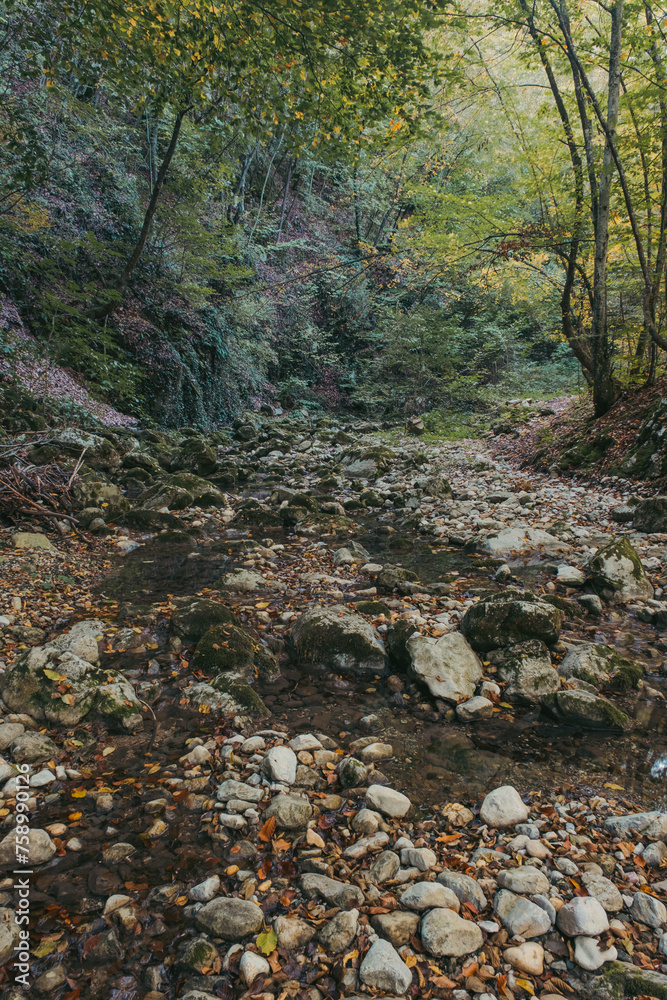 Canyon of a dried river with lots of rocks, foliage and trees during autumn, river Derventa, Uzice, Serbia