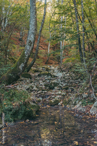 Canyon of a dried river with lots of rocks, foliage and trees during autumn, river Derventa, Uzice, Serbia photo