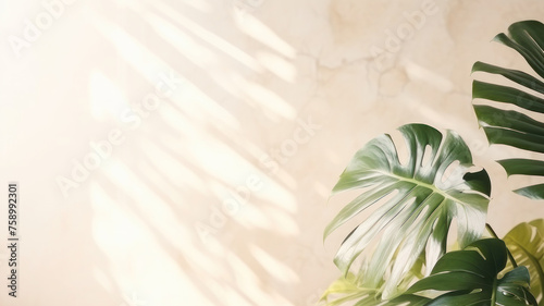Minimalistic light background with blurred Monstera Deliciosa plant pot shadow on a light wall. Beautiful background for presentation with with marble floor