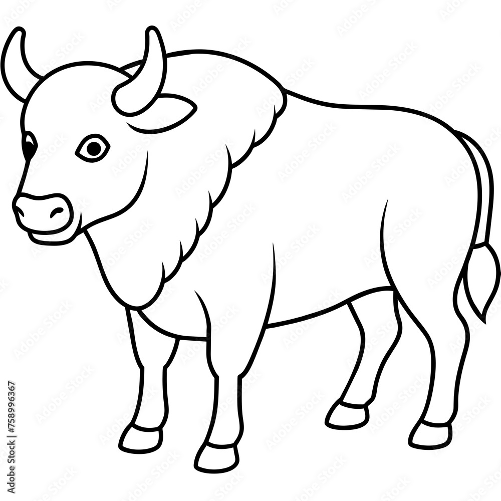 buffalo drawing using only lines, line art to color and paint. Children's drawings.