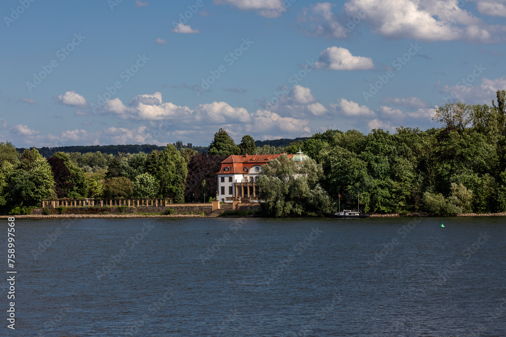 Fototapeta premium Königsklinger Aue-natürliche Binneninsel im Rhein bei Eltville zwischen Mainz und Bingen