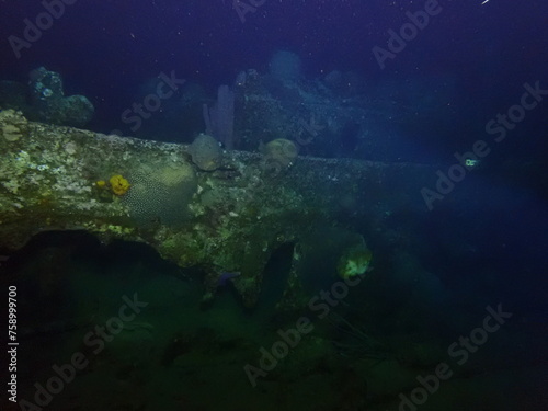 coral reef in the night dive 