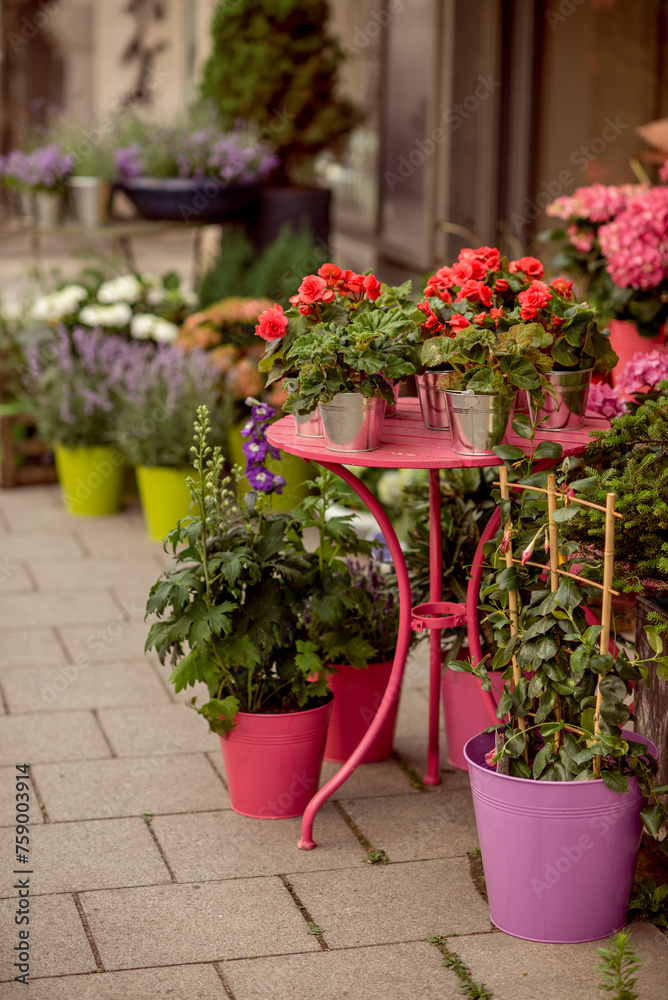 The entrance area to the flower shop with a large number of potted plants. Potted flowers for sale. Landscaping in the city. Flower pots on the street of the city.