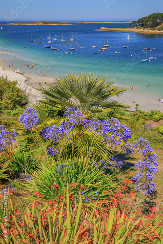 Aber-Benoît, Saint Pabu, Finistère, Bretagne, France photo