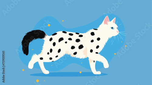 The cats playing White cat with black tail and spot