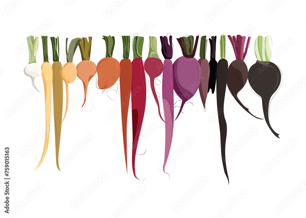 Colorful vegetables organized by color. Vector grocery elements. Eat the rainbow. Vegan. Healthy food concept. Illustration for farmers market, dieting, restaurant menu