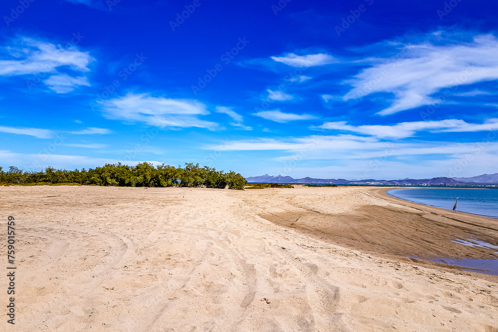 Mexican beach landscape, green trees against blue sky with white clouds, mountains on horizon in background, sunny winter day at Playa el Centenario or Comitán, Baja California Sur, Mexico