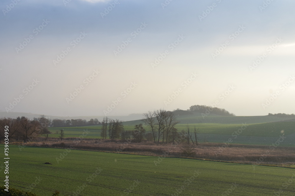light fog on winter green farmland