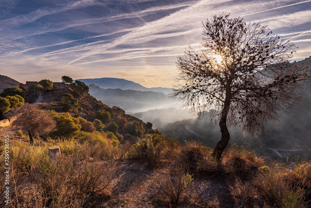 Dawn at the El Castillejo de Los Guajares site, an old fortified town from the Arab era located on the top of a mountain on the coast of Granada, Andalusia. Dawn at the El Castillejo de Los Guajares site, an old fortified town from the Arab era located on the top of a mountain on the coast of Granada, Andalusia.