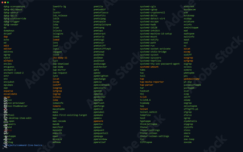 CLI interface of Unix System. CMD Command Line Terminal. Example of Linux ls Command Showing Bin Directory. Vector Illustration. Computer Prompt for Power Users. List of Files on Example FTP Server.