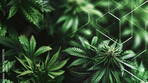 Lush green cannabis leaves with a vibrant neon outline signifying growth, vitality, and futuristic botany